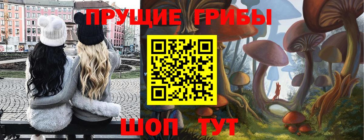 Псилоцибиновые грибы MAGIC MUSHROOMS Гай